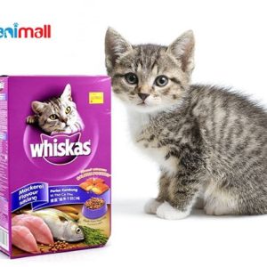 Macam Macam Snack Kucing