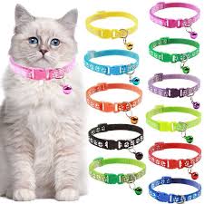 Kalung Kucing