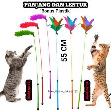 Mainan Kucing