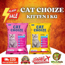 Makanan Kucing